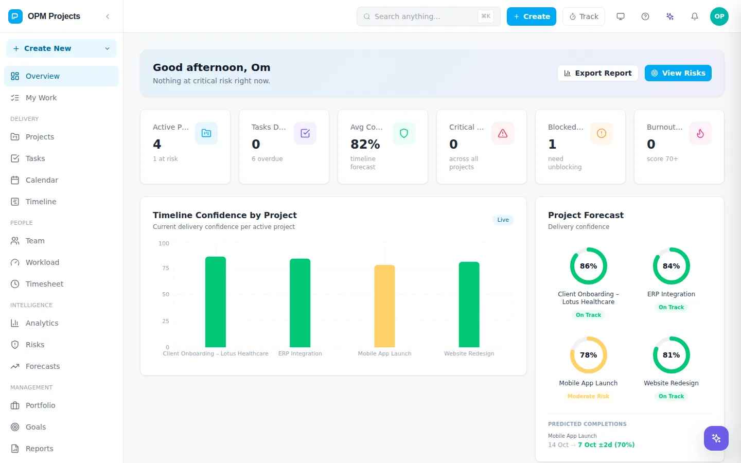 OPM Projects reports